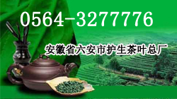 首页摄影?？?- 中间 - 250x140 - 1